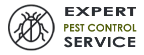 Emergency Exterminator Company Kent WA